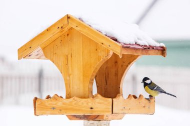 Годівниці для птахів з велика синиця