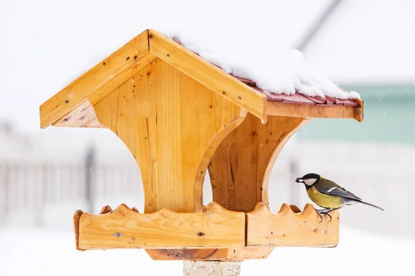 Vogelhuis/waterbak met Koolmees — Stockfoto