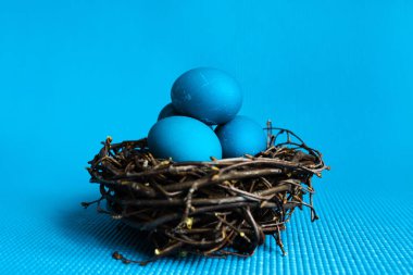 Mavi arka plan üzerinde yuvadaki yumurta