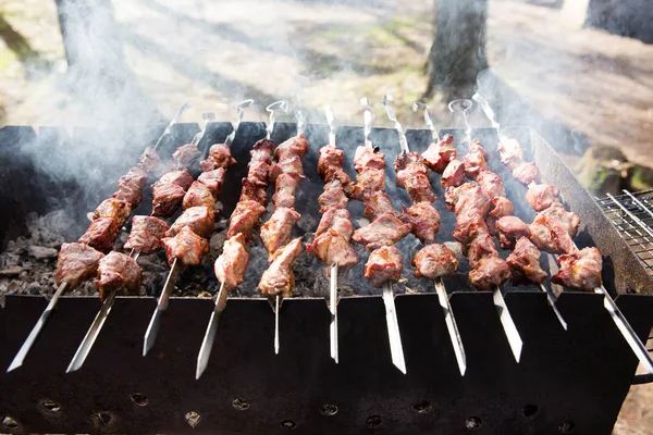 Shashlik marinados preparándose en una parrilla de barbacoa sobre carbón — Foto de Stock