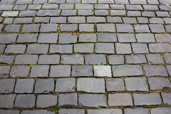 Stone pavement texture — Stock Photo, Image