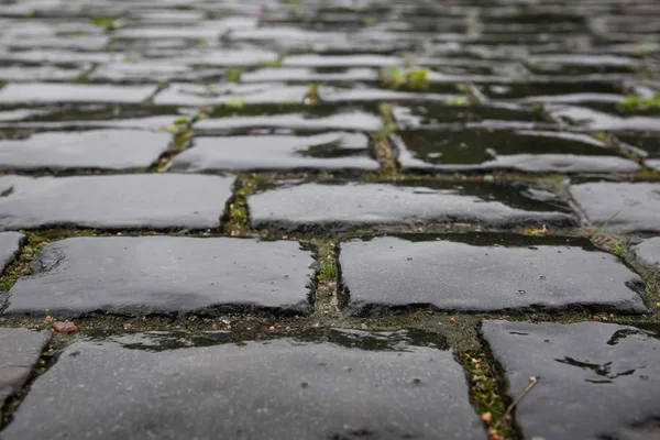 Taş kaldırım dokusu