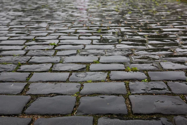 Кам'яний тротуар текстури — стокове фото