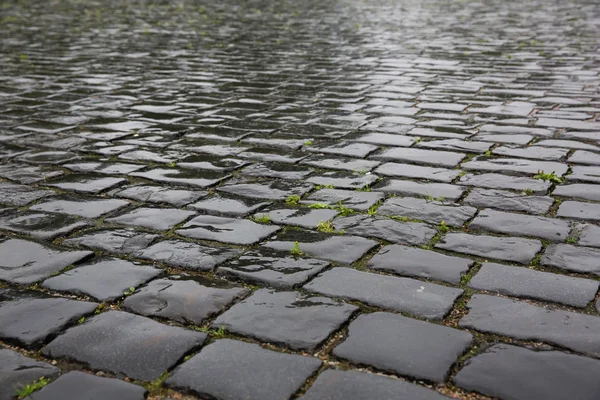 Taş kaldırım dokusu
