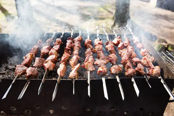 Carne fresca marinada en la parrilla — Foto de Stock