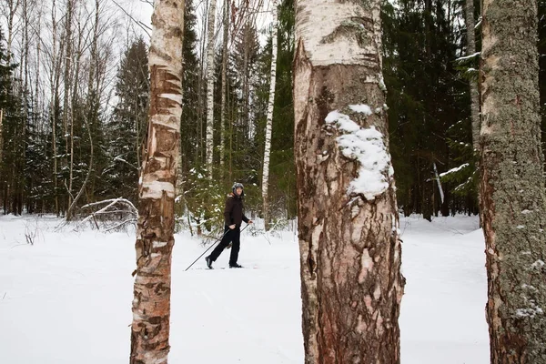 Jovem esqui cross-country na floresta — Fotografia de Stock