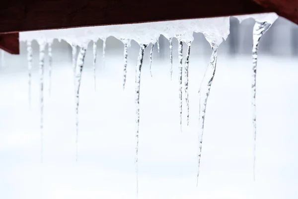 Frozen icy down pipe, icicles