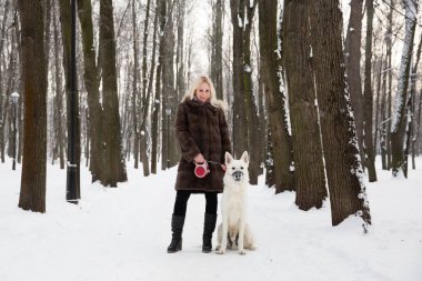 Kışın beyaz İsviçre çoban köpeği ile yürüyen güzel sarışın kadın
