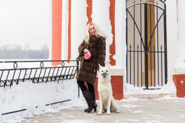 Kışın beyaz İsviçre çoban köpeği ile yürüyen güzel sarışın kadın