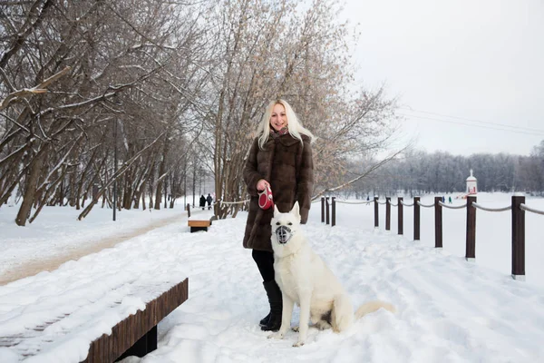 Schöne Blonde Frau Geht Winter Mit Weißem Schweizer Schäferhund Spazieren — Stockfoto