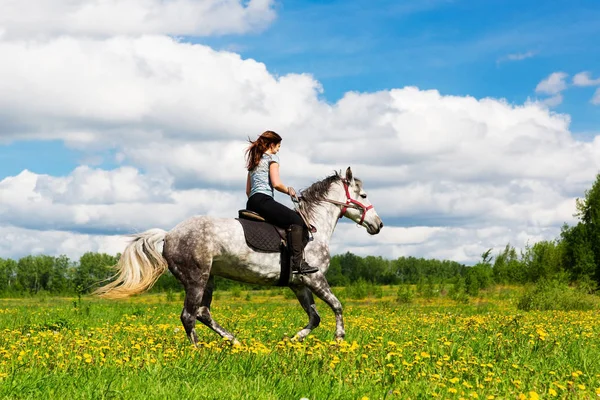 Kobieta Jazda Koniu Szary Polu — Zdjęcie stockowe