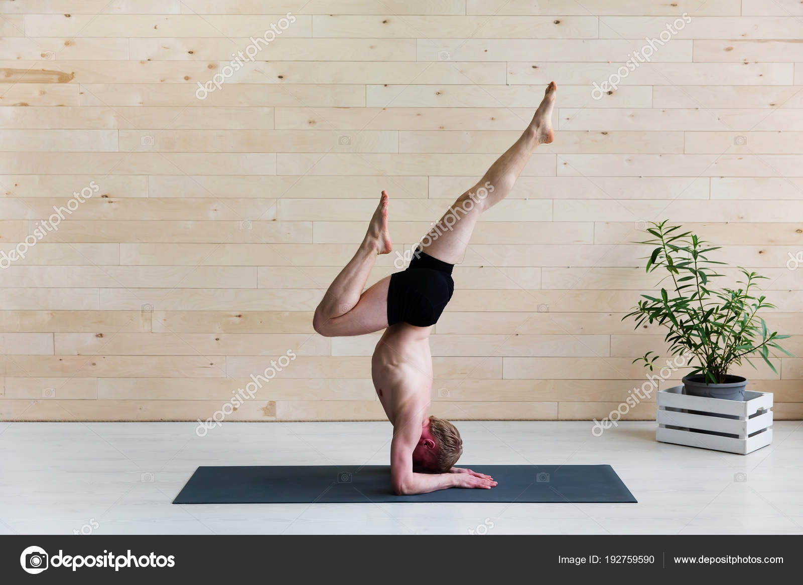 Sirsasana Exercise Sirsasana Exercise