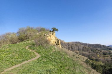 bir uçurum, ağaç bir kayanın üzerinde çim yeşillikleri, bl ile üst yolu