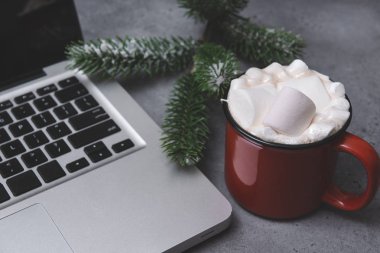 Laptopun yanında marshmallowlu bir fincan kakao, ladin dalı.