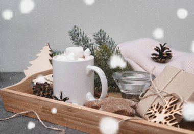 Kakao, kremalı sıcak çikolata, ladin dalı, kurabiyeler.,