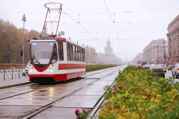 St. Petersburg caddesinde tramvay ve arabalar sisli yağmurlu sonbahar