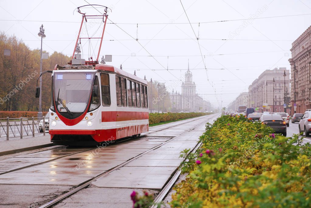 tram and cars on the street of St. Petersburg foggy rainy autumn