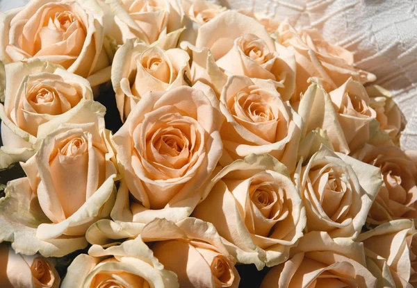 Букет жовтих квітів, багато персикових троянд — стокове фото
