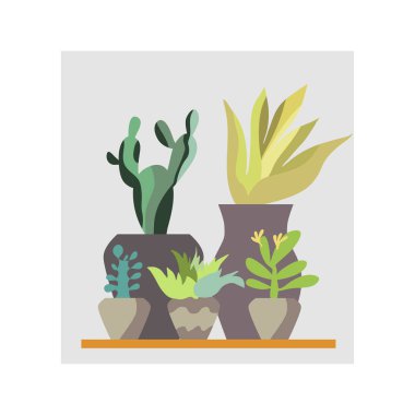 Cactus4