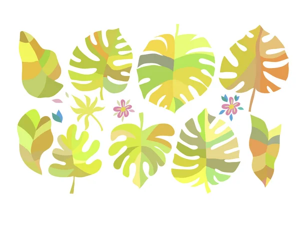 Conjunto de flores tropicales3 — Archivo Imágenes Vectoriales