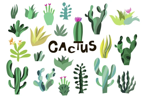 Cactus1 — стоковий вектор