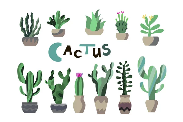 Cactus3 — стоковий вектор