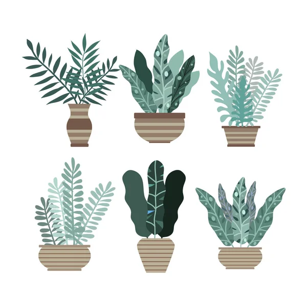 Plantes d'intérieur en pot (1) — Image vectorielle