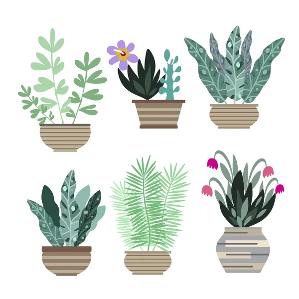 Home room plants in pots4 — Διανυσματικό Αρχείο