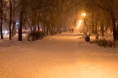 Parkta kış gece kar düşüyor