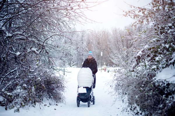 Kışın yürüme arabası olan kadın