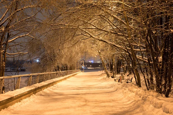 Зимовий нічний сніг падає в парку — стокове фото