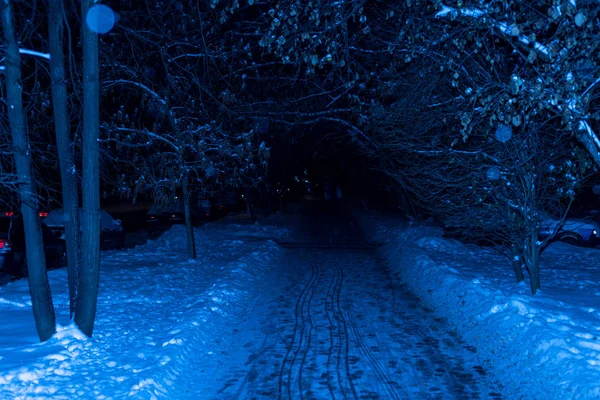 Noche de invierno cae nieve en el parque —  Fotos de Stock