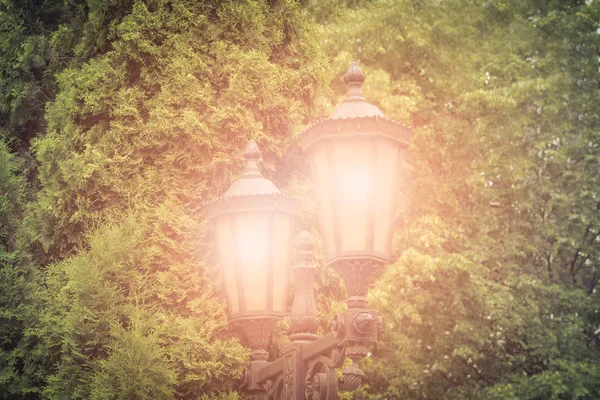 Street Park Night Lighting Night Lantern Shines — Stock Photo, Image