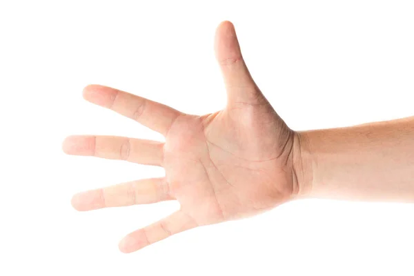 Mens izole üzerinde beyaz arka plan el