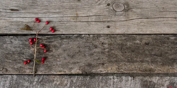 Осінь, червоні ягоди на дерев'яному фоні Стокове Зображення