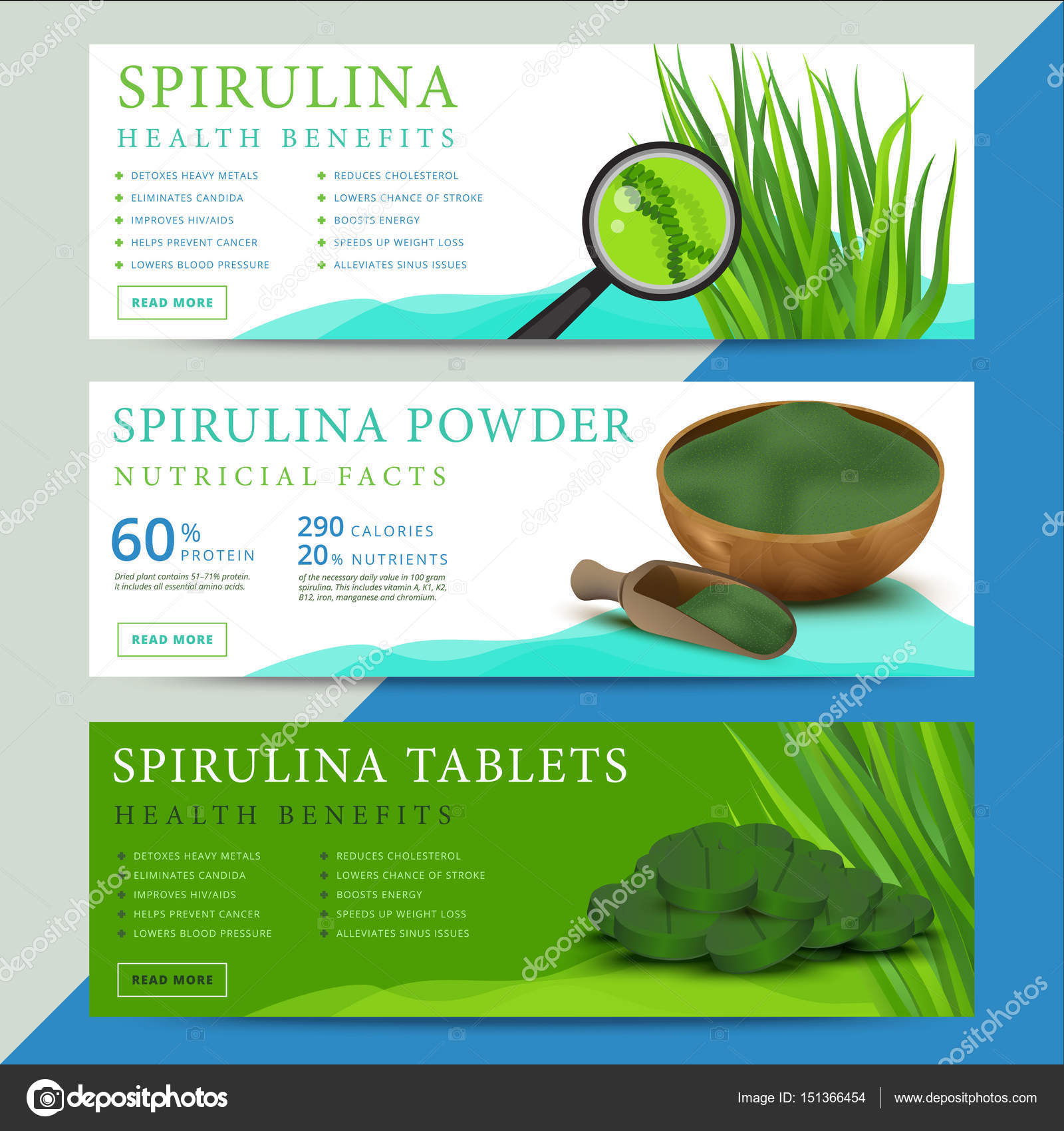 Set of spirulina algae information website or social media banne Stock