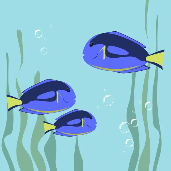 Peces marinos de diseño plano de color. Mares y peces, peces del océano animal, dibujo ilustración vida marina peces marinos — Archivo Imágenes Vectoriales