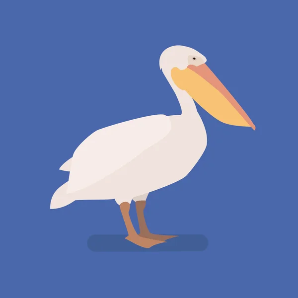 Bir daldaki pelikan kuş. Düz bir yalıtılmış vektör illüstrasyonu — Stok Vektör