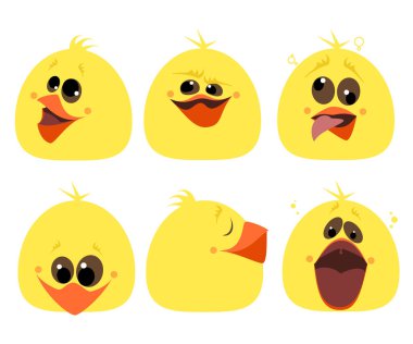 Duygular tavuk kümesi. Farklı karakterler. Karikatür vektör
