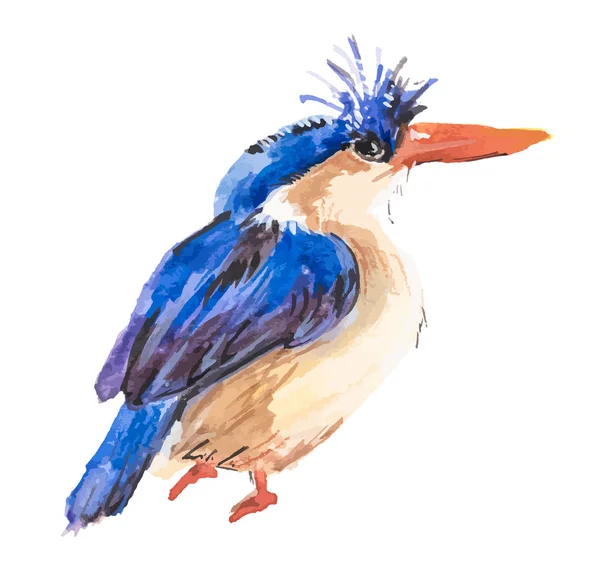 Akvarel na malířské kingfisher pták. Malý pták illustratio — Stockový vektor
