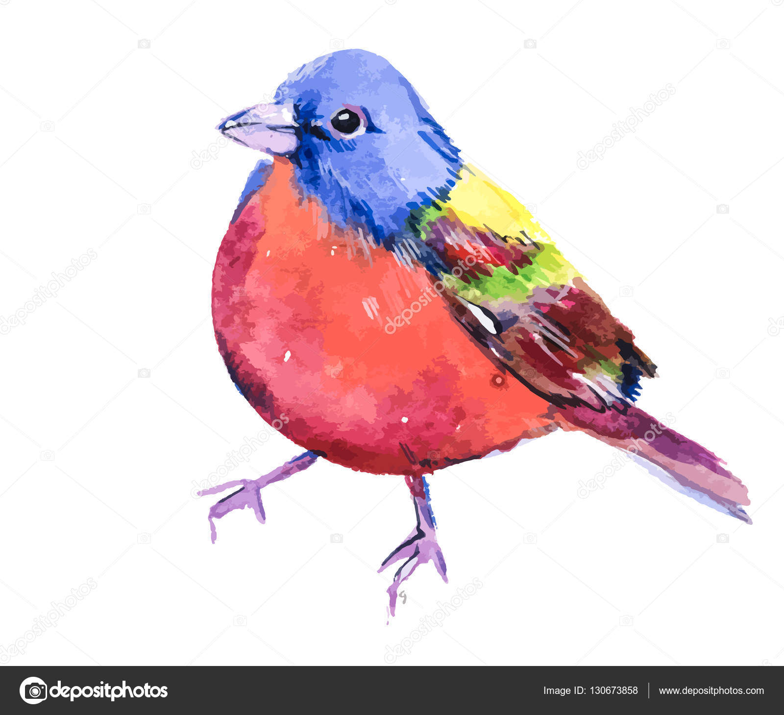 Oiseau Bruant De Couleur Petit Oiseau Coloré Aquarelle