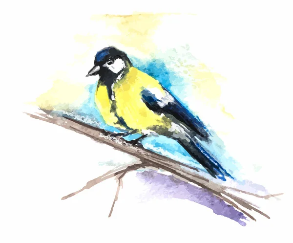 Teta en un pájaro acuarela rama aislado. Ilustración vectorial — Vector de stock