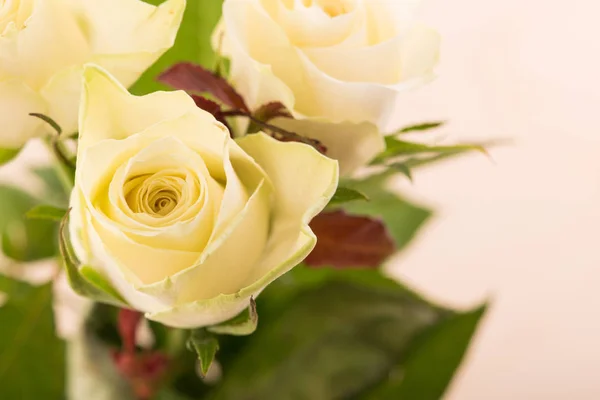 White rose in a bouquet. Yellow rose. Bouquet of roses
