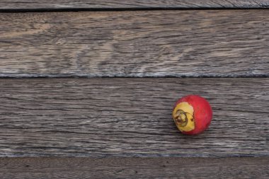 palmiye meyve Tiriz ve Tarih