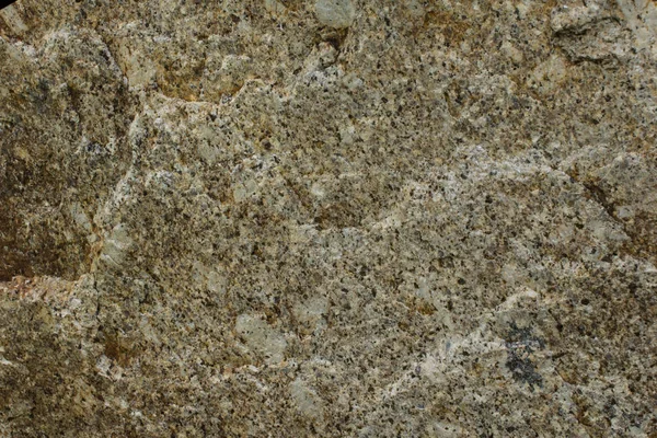 돌의 표면 — 스톡 사진