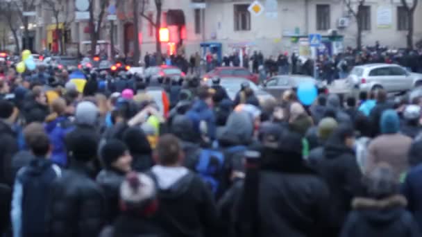 Vénus plante piège à mouches — Video