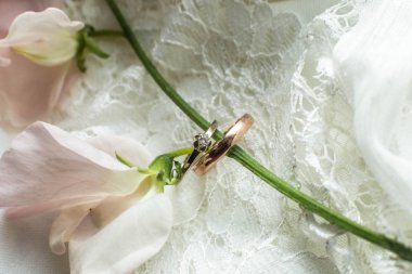 14 Mayıs Kiev, Ukrayna. Bir lale beyaz ve kırmızı bir baklava Altın Alyans beyaz bir zemin üzerine taze tomurcuğu