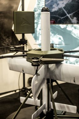 Kiev / Ukrayna 12. Ekim 2019 Fotoğrafta 