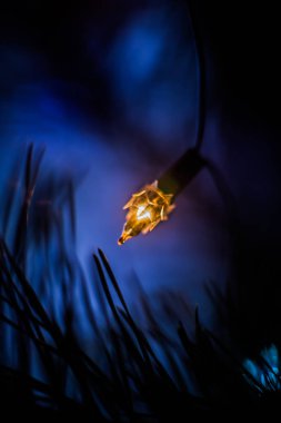 Noel süslemeleri ve çelenklerinin arka planı