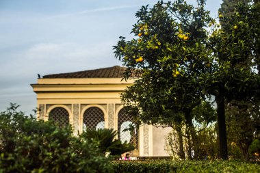 İtalya / Roma 14. Aralık 2019 Roma forumunun kalıntıları